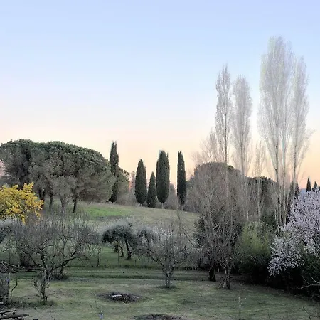 Il Maestro E L'innamorata Lägenhet