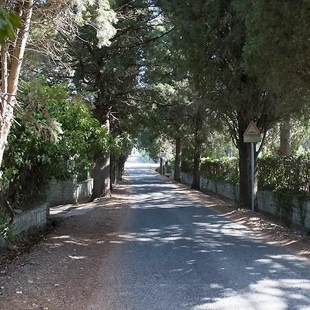 Il Maestro E L'innamorata Sutri