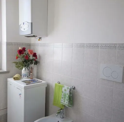 Il Maestro E L'innamorata *