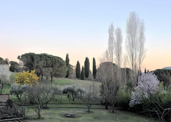 Il Maestro E L'innamorata アパート