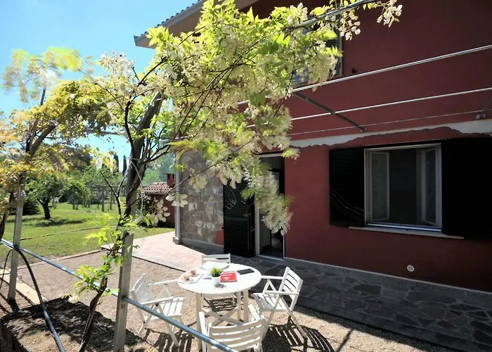 Il Maestro E L'innamorata * ストリ